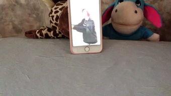 娱乐吃瓜小羊,揭秘娱乐圈那些不为人知的幕后故事  第2张