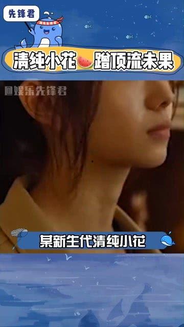 娱乐吃瓜小花视频,吃瓜小花视频背后的故事 第2张 娱乐吃瓜小花视频,吃瓜小花视频背后的故事 第2张